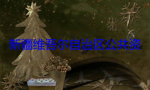 建强接受审新疆维吾尔心副主任薛查调查自治区公共资源交易中